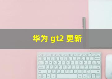 华为 gt2 更新